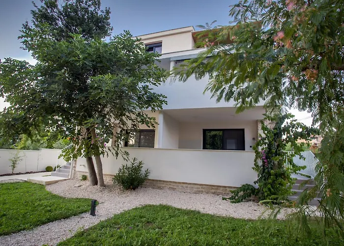 Favi * פאקוסטאן